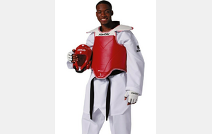 Taekwondo Plastron Corée WT rec. CE