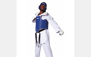 Taekwondo Plastron Corée WT rec. CE